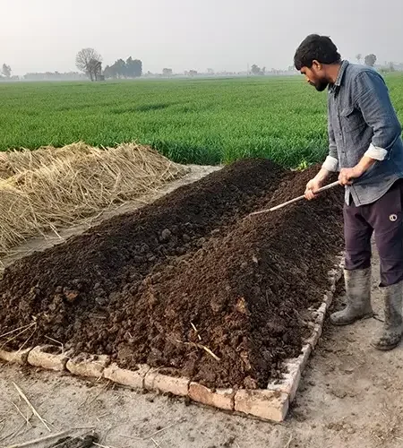 Our Produce Soil